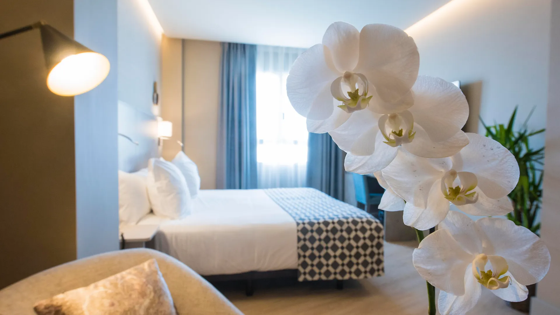 Hotel America Sevilla contacts